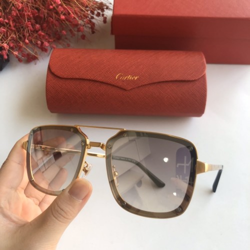 Cartier Sunglasses CT0109 Online CR109
