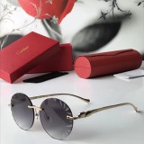 Shop reps cartier Sunglasses CT6009 Online Store CR115