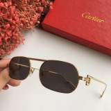 Wholesale cartier knockoff Sunglasses ESW00356 Online CR110