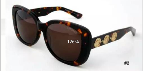 Peak Protection | VERSACE Affordable High-Altitude Sunglasses SV102