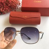 Wholesale 2020 Spring New Arrivals for Cartier Sunglasses CT0298 Online CR138