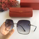 Cartier sunglasses dupe CT028S Online CR140