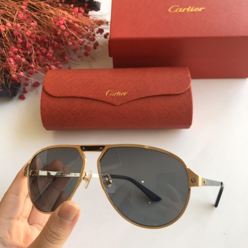 Cartier Sunglasses CT0101S Online CR141