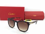 Wholesale Cartier Sunglasses CT0010 Online CR133