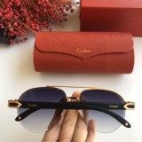 Wholesale 2020 Spring New Arrivals for Cartier Sunglasses CT8200986 Online CR137