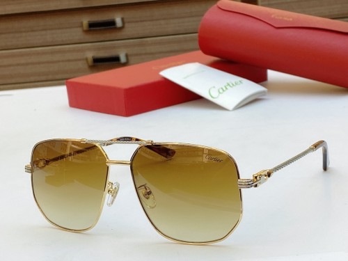 Cartier Sunglasses CA0119 Online CR143