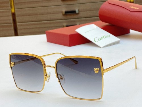 Cartier Sunglasses CT0119S Online CR144