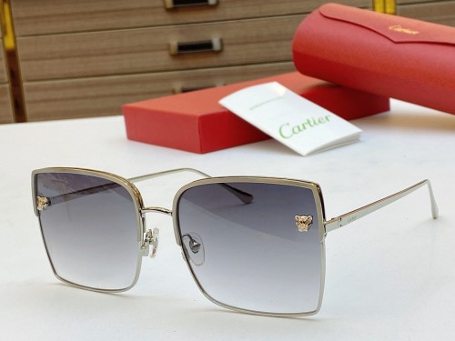 Cartier knockoff shades CT0119S Online CR144