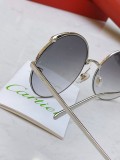 Cartier faux sunglasses CT0149S Glass CR148