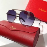 Cartier faux sunglasses CT0158 Glass CR149
