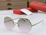 Cartier faux sunglasses CT0149S Glass CR148
