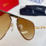 Best Cheap sunglasses Cartier Sunglass CT0101S CR152