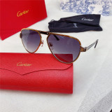 Best Cheap sunglasses Cartier Sunglass CT0101S CR152