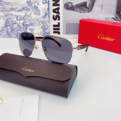 Cartier Sunglasses Cartier glass CT0569 CR163