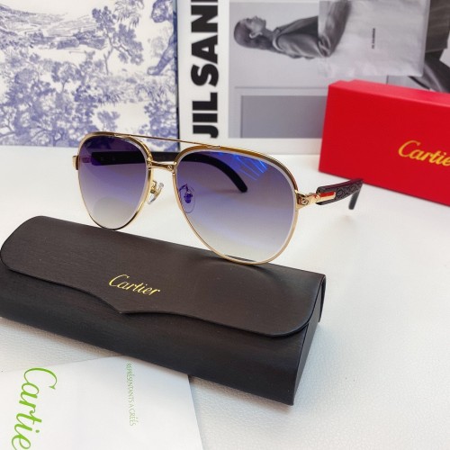 Cartier Sunglasses Cartier glass CT0583 CR164