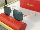 Cartier Sunglasses CT0229S CR173
