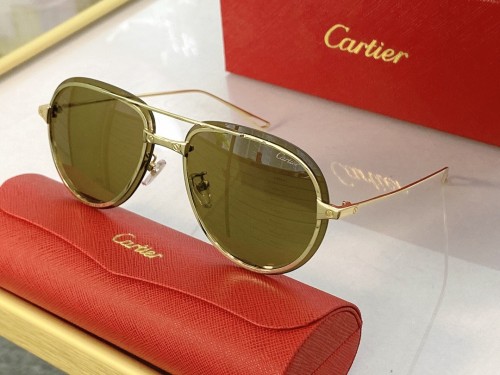 Cartier Sunglasses CT0242 CR176