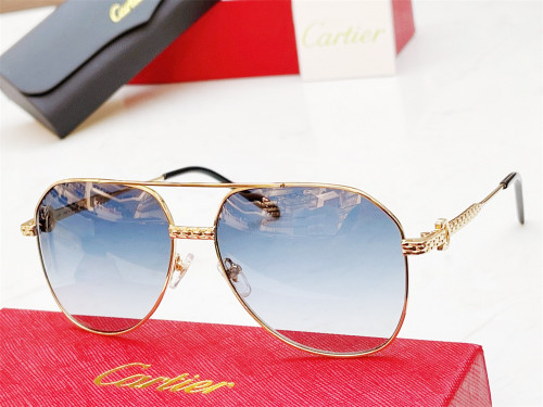 Cartier Sunglasses fdCT0616S CR184