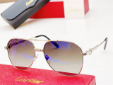 Cartier sunglasses fake fdCT0616S CR184