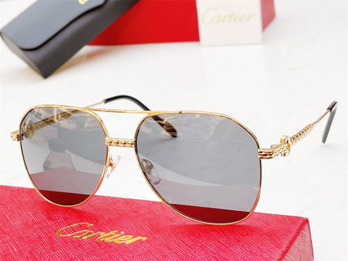 Cartier Sunglasses fdCT0616S CR184
