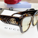 Cat eye Sunglasses brands GUCCI GG0808S SG713