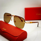Cartier 0276 sunglasses fake CR189