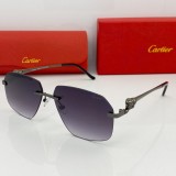 Cheap Cartier sunglasses fake Brands 0281 CR191