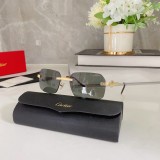 Cartier Outdoor Sunglasses CT0271 CR193