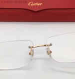 Cartier Glasses Frame CT0218O FCA244