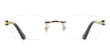Online Prescription replica eyewear Cartier CT0287O FCA261