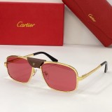Cartier AAA knockoff shades CT0295 CR200