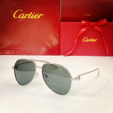 Cartier sunglasses dupe Polarized CT0110S CR201