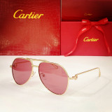 Cartier Sunglasses Polarized CT0110S CR201
