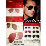 Cartier sunglasses dupe Polarized CT0110S CR201