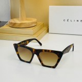 sunglasses dupe CELINE 41468S CLE005
