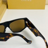 LOEW aaa Sunglasses LW40041U SLW002