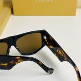 LOEW aaa sunglasses dupe LW40041U SLW002