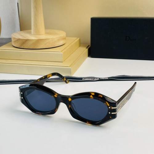 Best sunglasses dupe Dior B1U SC161