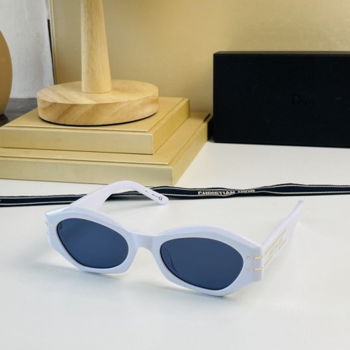 Best Sunglasses Dior B1U SC161