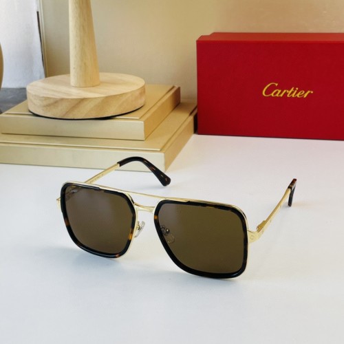 Cartier Affordable Sunglasses Brands CT0263 CR202