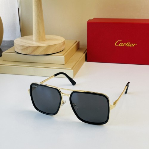 Cartier Affordable Sunglasses CT0263 CR202