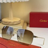 Cartier Sunglasses CT0297S CR091