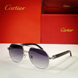 Cartier Sunglasses Wood CT0272 CR034