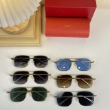 Cartier Sunglasses CT0297S CR091