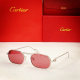 Cartier Counterfeit Sunglass CT0112S CR051