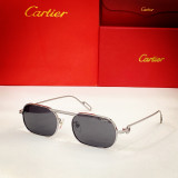 Cartier Sunglass CT0112S CR051
