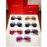 Cartier sunglasses fake Wood CT0272 CR034