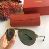 Cartier faux sunglasses CT0101S Online CR141