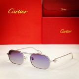 Cartier Sunglass CT0112S CR051