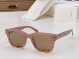 Sunglasses For Women CELINE CL40223I CLE069